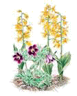 「4月のイラスト ...」の画像検索結果